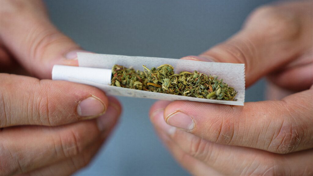 Person rolling a joint.
