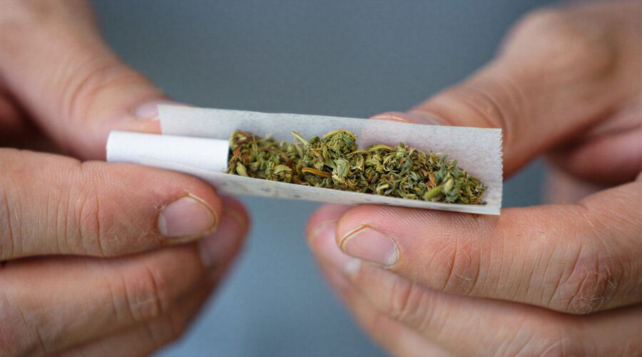 Person rolling a joint.